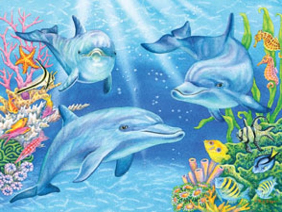 Beach Puzzles Heritage Puzzle  | Dolphin Cove Puzzle