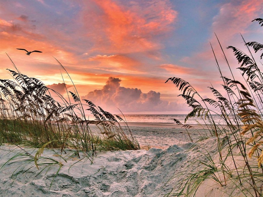 Beach Puzzles Heritage Puzzle  | Dancing Sea Oats Puzzle